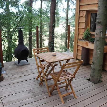 La Cabane Dans Les Arbres Carignan