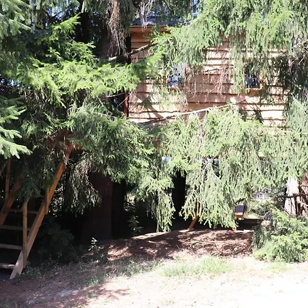 La Cabane Dans Les Arbres *